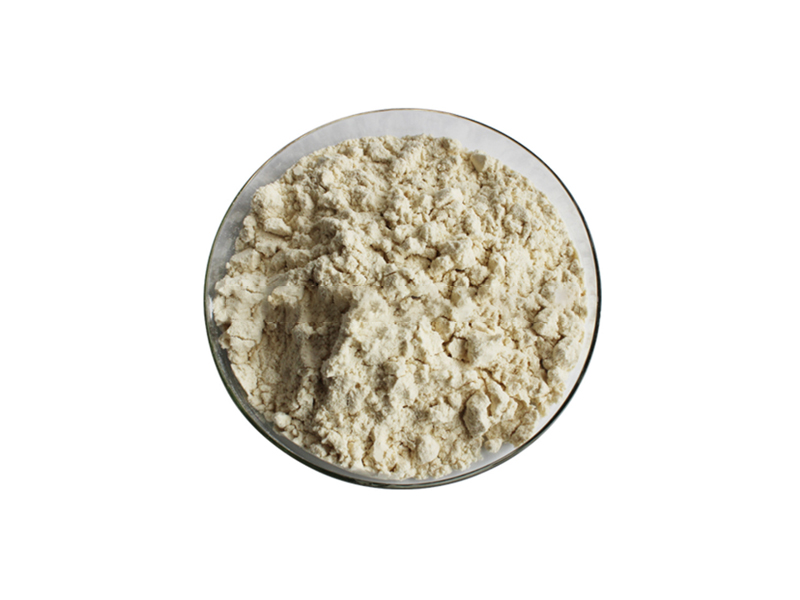 鹰嘴豆提取物(wù)